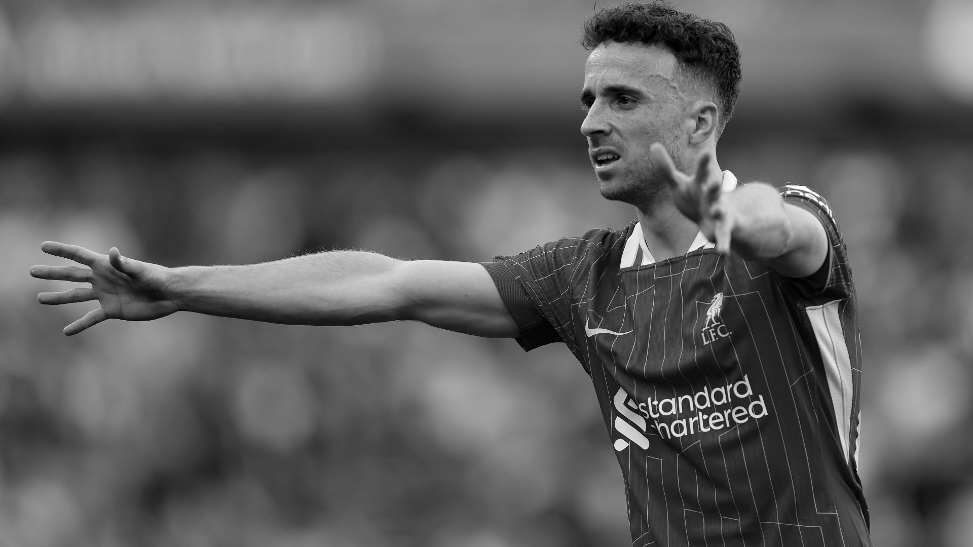 كودي جاكبو يتأمل التحديات العاطفية بعد رحيل ديوغو جوتا، ويحث فريق ليفربول على الاعتزاز بإرثه الدائم